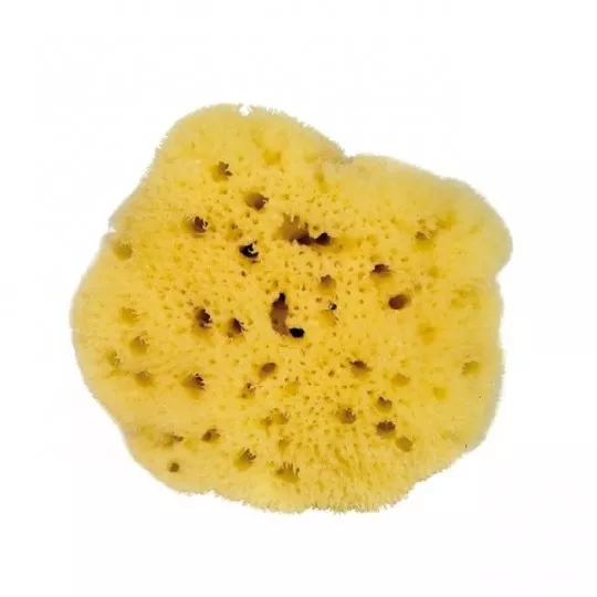 Silk-touched sea sponge - eye contour - 7 cm