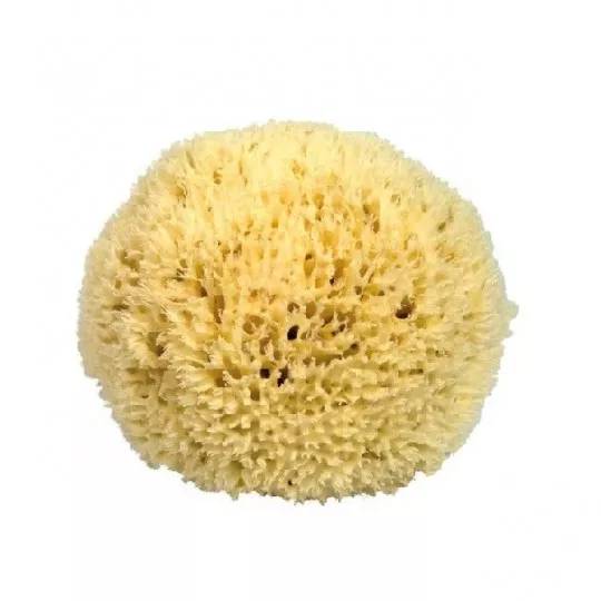 Ultra fine sea sponge for the face - 10 cm